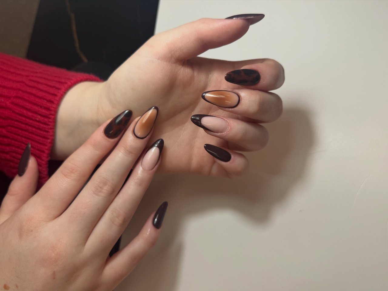 Brown & black elegance